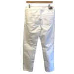 American Eagle  Outfitters‎ Womens Tomgirl Button-Fly Straight-Leg Jeans Size 6 Photo 3