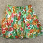 Show Me Your Mumu  skirt Photo 1