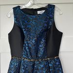 Belle Badgley Mischka Metallic Sleeveless Dress Photo 2