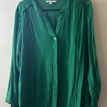 Zac & Rachel Vibrant Green Blouse Size XL Photo 0