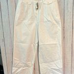 J.Crew NWT Pleated button-front pant in chino Photo 4