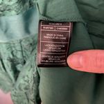 BB Dakota BB Dakota by ModCloth Green Lace Dress sz 12 Photo 3