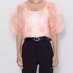 ZARA  Pink Tulle Puff Sleeve Sheer Top medium Photo 0