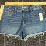 PacSun  Festival High Rise Shorts Size 30 Photo 0