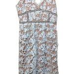 Design Lab  Size Large L Ice Blue Lace Nude Detailing NWT NEW Dress Preppy Weddin Photo 0