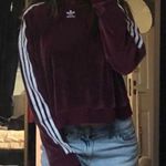 Adidas Velvet maroon crop  hoodie Photo 1