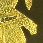 Monet Vintage  Little Girl Charm Photo 2