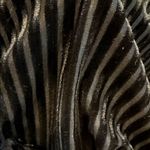 Omnia Chic Velour Black Striped Women's Bra size large Photo 1