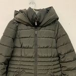 Laundry by Shelli Segal  Women Green Hooded Puffer Coat Jacket Size Medium NEW Photo 1