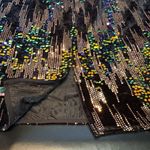 Dwirapal Elegant Multicolor Velvet and Sequin Skirt size XL NWT Black Photo 10