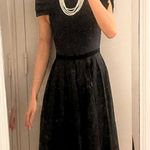 Ted Baker black midi dress with full skirt and velvet trim Photo 1
