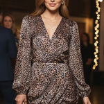 Fame and Partners The Ariadne Dress Photo 1