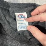 Delta  Pro Weight Graphic Gray Long Sleeve “Daytona Beach Florida” Shirt; medium Photo 4