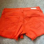 AG Adriano Goldschmied Shorts Photo 1