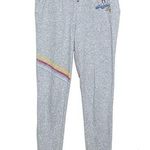 Parks Gray Joggers Sweatpants Walt Disney World '71 Elastic Waist Women L Photo 0