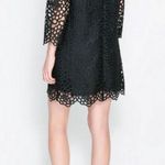 ZARA  black lace floral eyelet cutout shift dress Photo 2