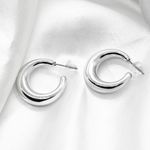 Metallic Silver Hoop Earrings Photo 1