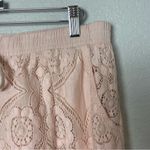 Sophie Rue  Floral Lace Light Baby Pink Shorts Size XL Photo 1