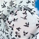 Roz & Ali  bird print blouse Photo 5