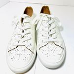 Loft Off White Eyelet Sneakers Photo 1