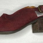 Lucky Brand Lideton Snakeskin Leather Slingback Mules 9.5M Photo 9