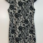 Collective Concepts NWT Black/White Lace Illusion Cap Sleeve Sheath Dress Large Photo 0