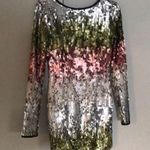 Elizabeth and James NWT  sequins dress Photo 3