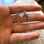 Sterling Silver Earrings Photo 0