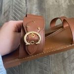 Coach NWB  Harlow Sandal Brown Leather 7.5 Photo 4