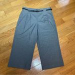 Loft Petites High Waist Wide Leg Cropped Pants Grey with belt - Size 12P Photo 10