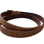 J.Crew  Tan Perforated Genuine Leather Belt Medium Photo 1