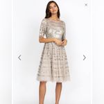 Johnny Was NWT  Champagne Beaded Lace  Mesh Dress Size‎ XS Photo 2