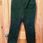 Christopher & Banks Signature Slimming Pants women’s size 6P Photo 0