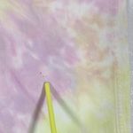 Stella McCartney NEW Boyfriend Straight Leg Jeans Size 30 Photo 10