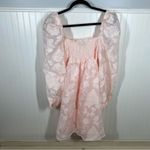 Sister Jane DREAM pink Floral Brocade Organza Mini Dress Puff Sleeve size medium Photo 6
