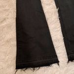Black Orchid  bell bottom frayed jeans Photo 2