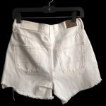 American Eagle NWT  Distressed 90’s Boyfriend Mid Denim Shorts W14 Photo 2