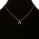 Spartina Sea La Vie Paved Wishbone Pendant Necklace Photo 0