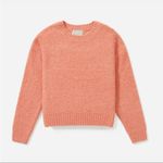 Everlane  Coral Pink Teddy Wool Blend Crewneck Sweater Size Large Photo 2