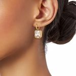 NWOT Roxanne assoulin earrings Photo 1