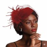 Elegant Feathered Fascinator Red Photo 0