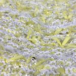 Balmain Yellow and White Tweed Cardigan 42 FR 10 US DF1KL106KG71 Photo 12