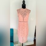 Bardot Gorgeous midi dress for spec.occasion 🌷🌷🌷 Photo 12