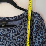 Talbots  Blue Cheetah Print Long Sleeve Knee Length Dress Women's size Large Photo 6