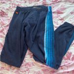 Aviator Nation  5 Stripe Sweatpants Blue Photo 1