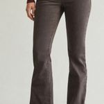 PacSun  Jade Low Rise Bootcut Jeans Brown Photo 0