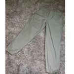 The North Face  Women's Taupe Jogger Pants Medium Hiking Camping Fishing Photo 5