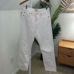 AGOLDE 90's Mid Rise Button Fly Destroyed Loose Fit Jeans Vanish White 28 Photo 1