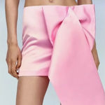 ZARA  bow skirt  Photo 0