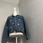 Veveret Daisy Photo 5